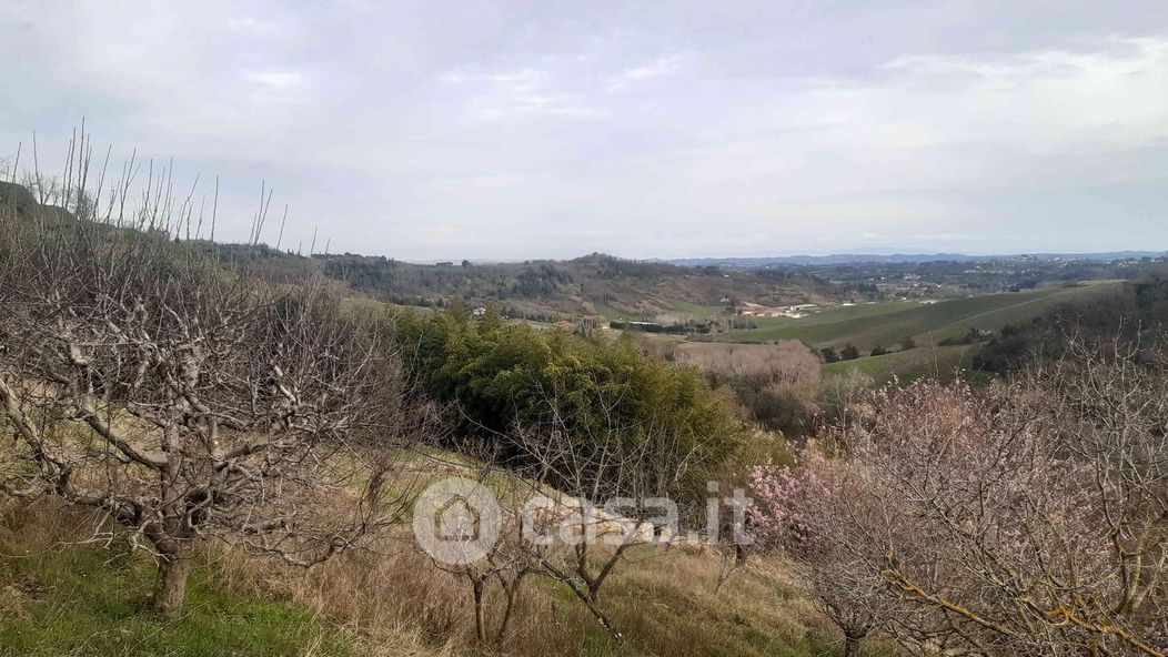 Terreno agricolo in Vendita in Strada Provinciale 13 del Commercio 38 a Casciana Terme Lari
