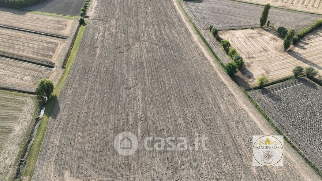 Terreno agricolo in Vendita in Via Casette Saltare a Este