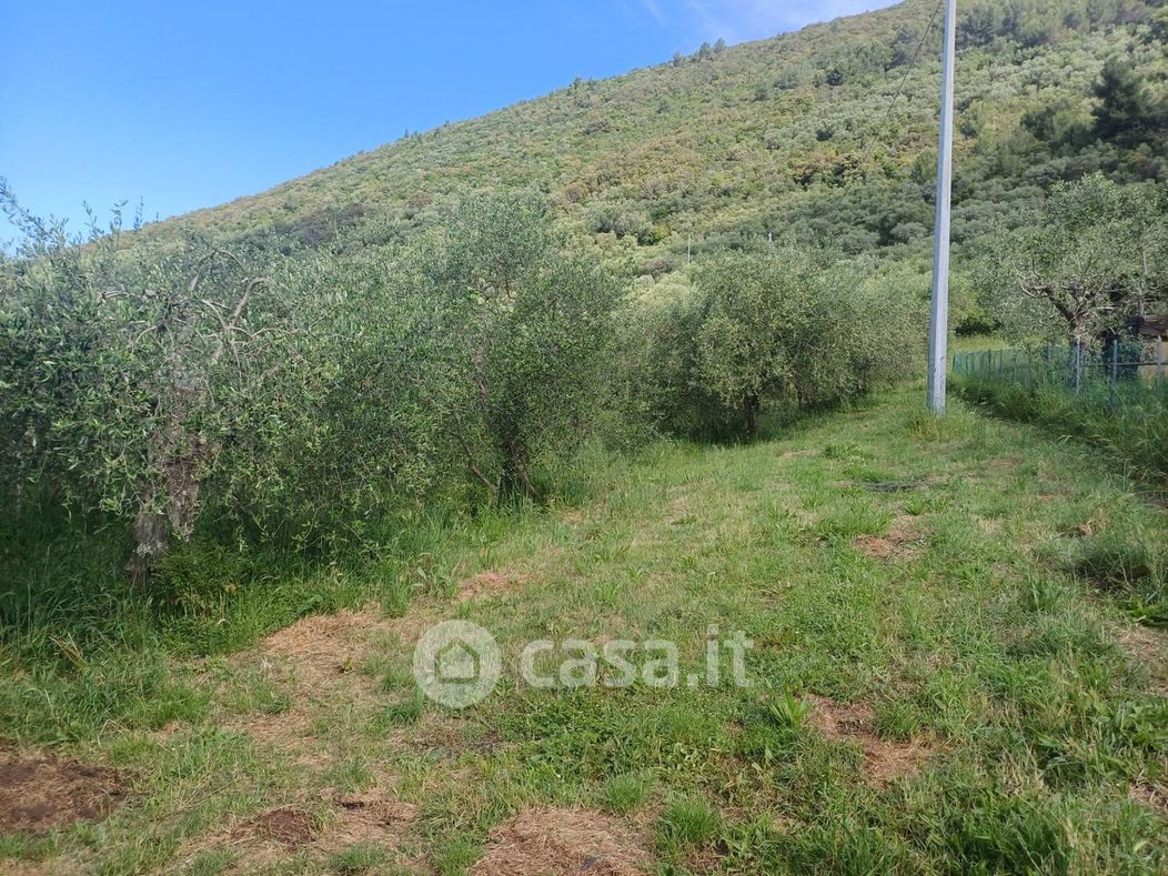 Terreno agricolo in Vendita in Via Santi Vecchi a San Giuliano Terme