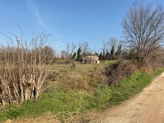 Terreno agricolo in Vendita in Via Monsignor Felice Bonomini Vescovo a Calvagese della Riviera