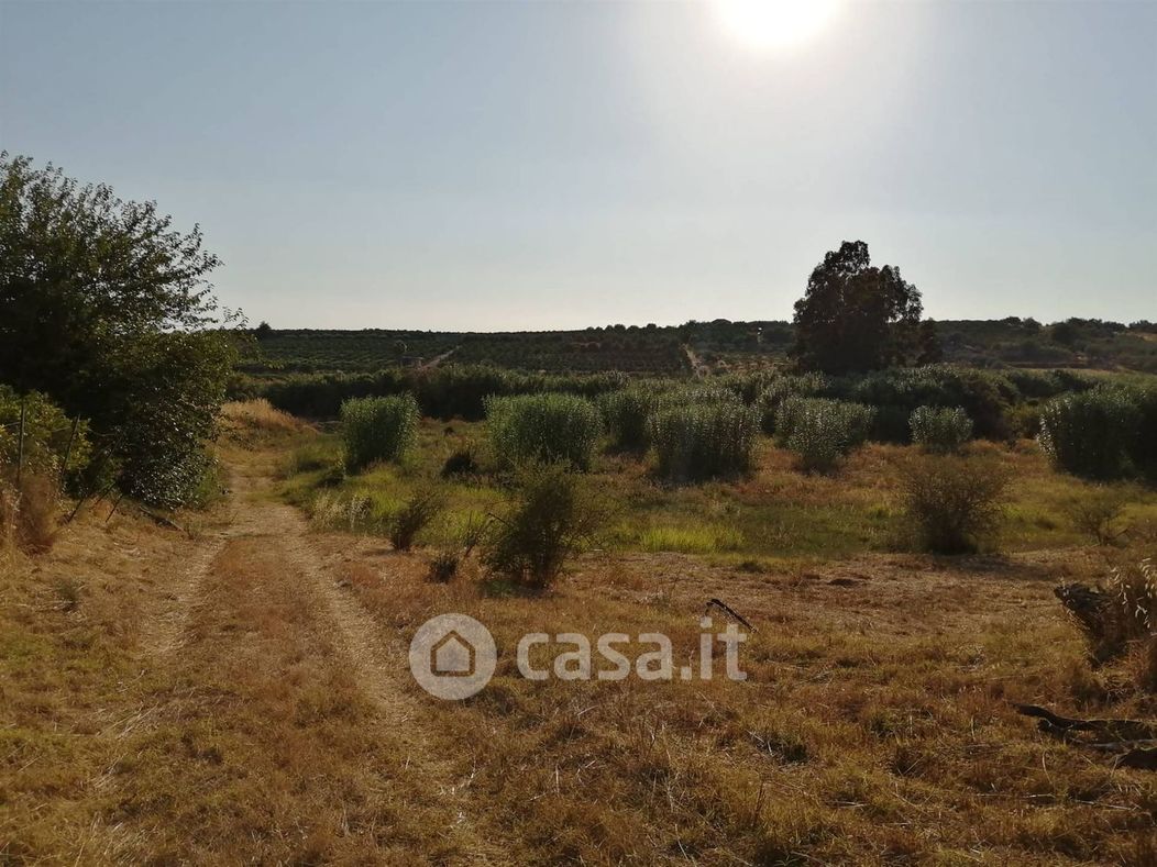 Terreno agricolo in Vendita in SP13 124 a Motta Sant'Anastasia