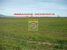 Terreno agricolo in Vendita in Via Alberto Profeti 251 a Cascina