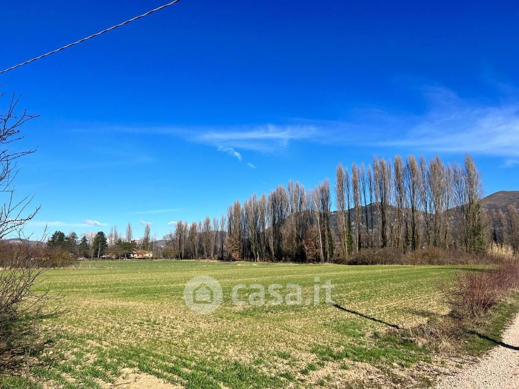 Terreno agricolo in Vendita in Via Torrente di San Donato a Gubbio
