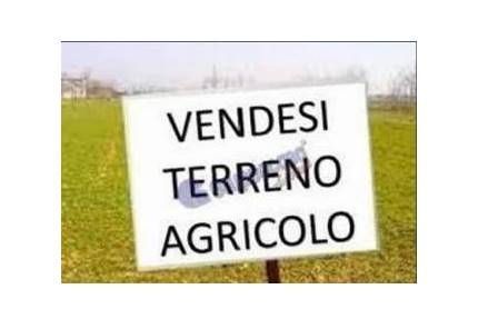 Terreno agricolo in Vendita in Via Riviera del Brenta 159 a Fiesso d'Artico