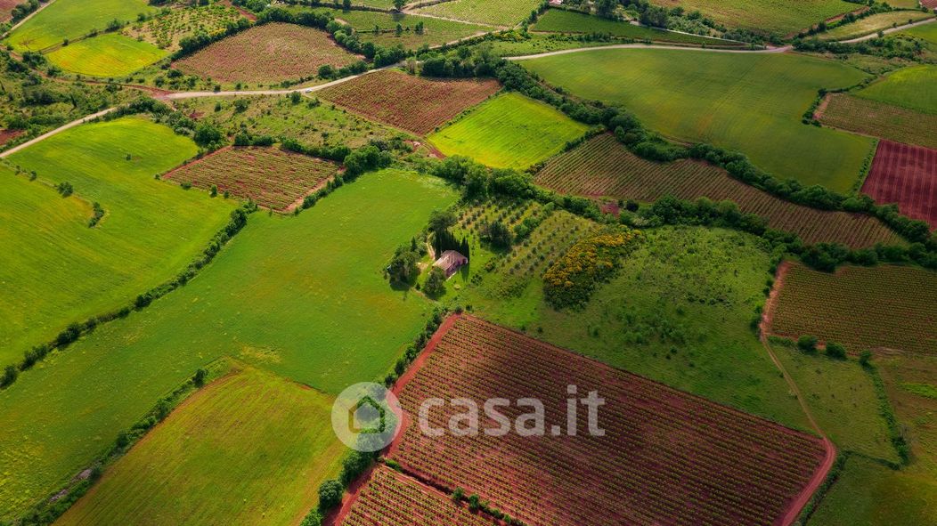 Terreno agricolo in Vendita in Via Ripatransone a Roma