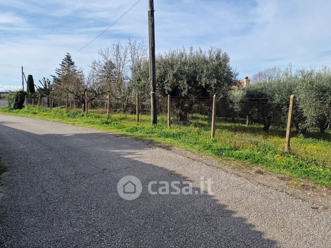 Terreno agricolo in Vendita in Vicolo Sant'Antonio in Canepine a Albano Laziale