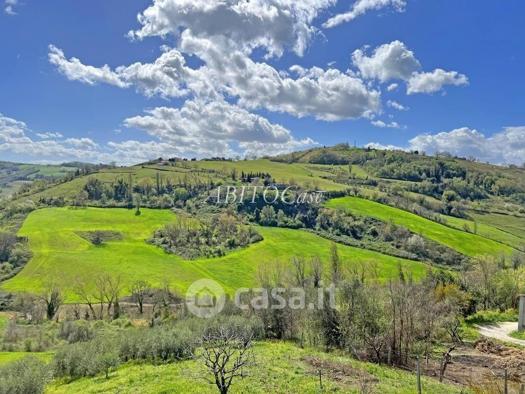Terreno agricolo in Vendita in Via Giuseppe Saragat 6 a Montecarotto