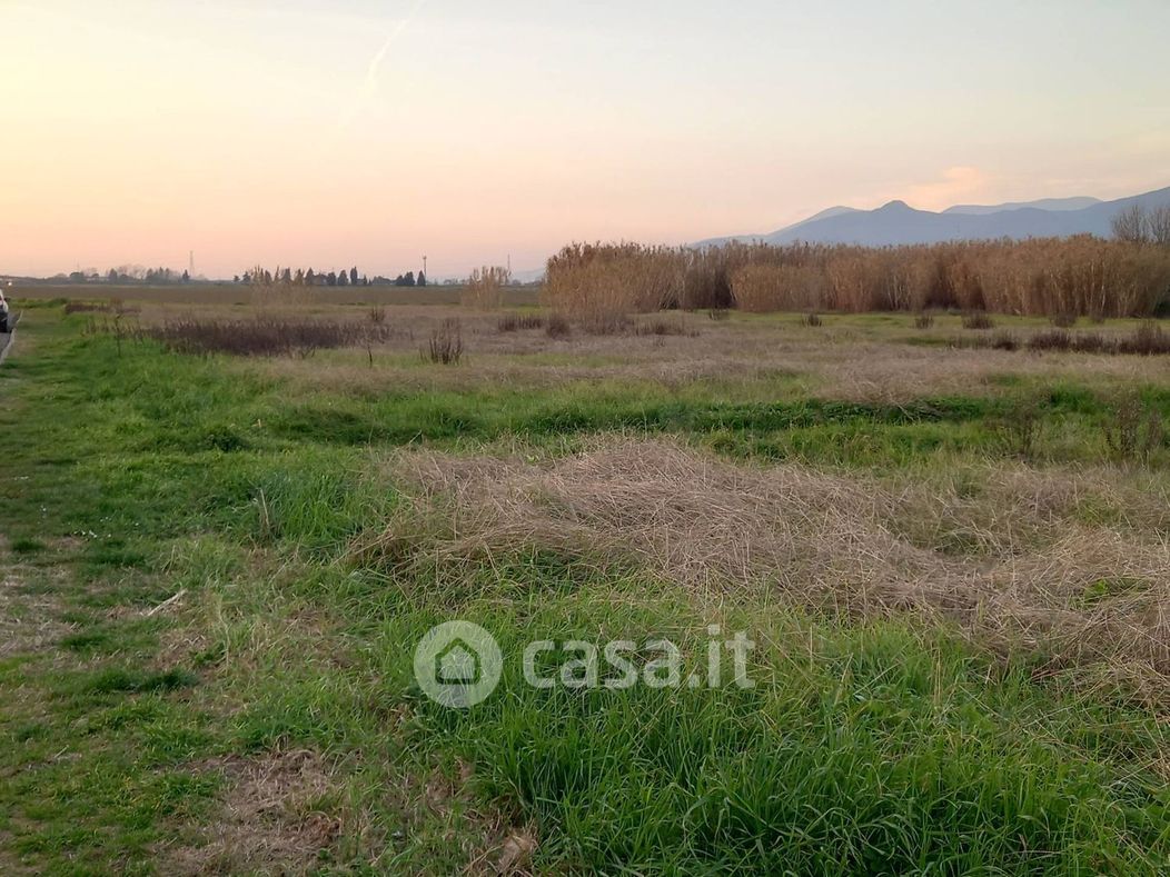 Terreno agricolo in Vendita in Via della Repubblica a Chianni