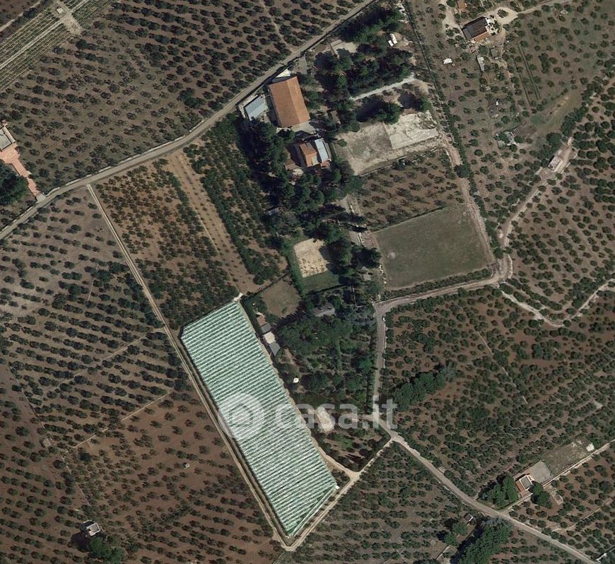 Terreno agricolo in Vendita in Contrada JAZZO a Ruvo di Puglia