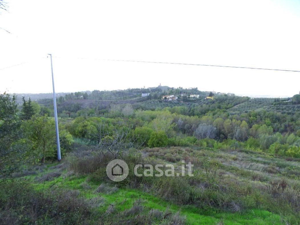 Terreno agricolo in Vendita in Via Montegrappa a San Miniato