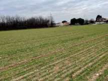 Terreno agricolo in Vendita in Via Verghera a Gallarate
