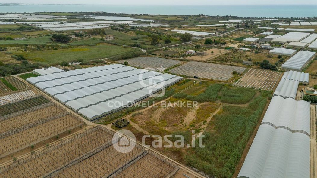 Terreno agricolo in Vendita in SP67 a Ispica