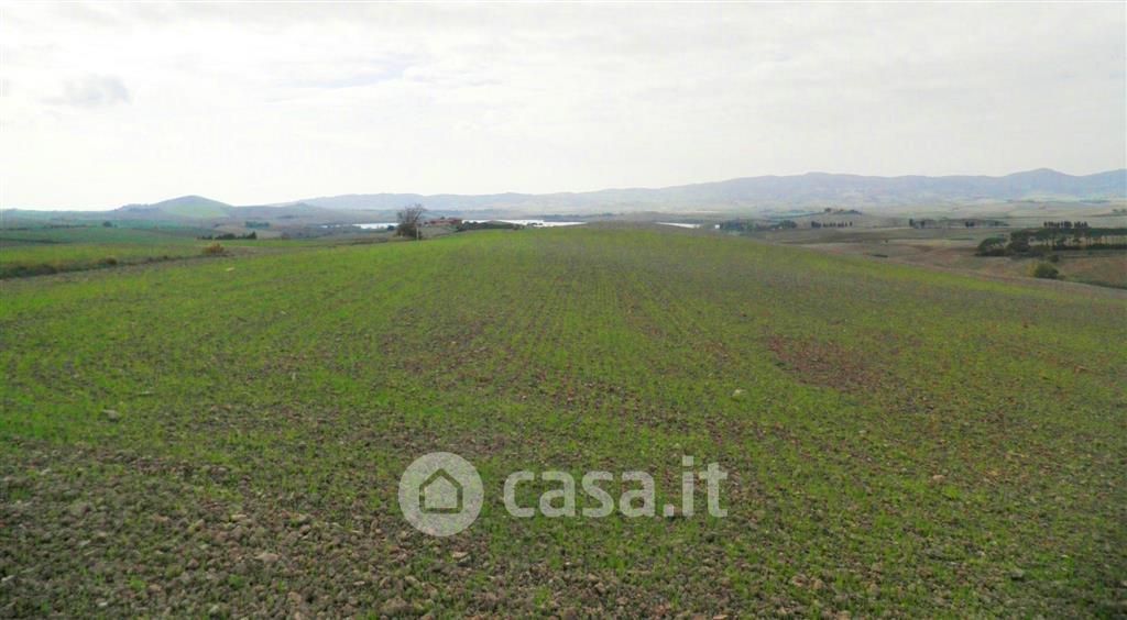 Terreno agricolo in Vendita in Via Rosignanina a Santa Luce