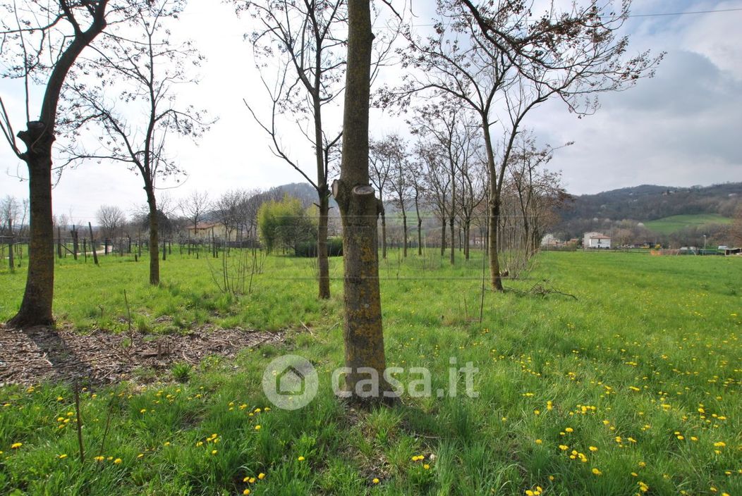 Terreno agricolo in Vendita in Via Monte Verlaldo 113 c a Cornedo Vicentino