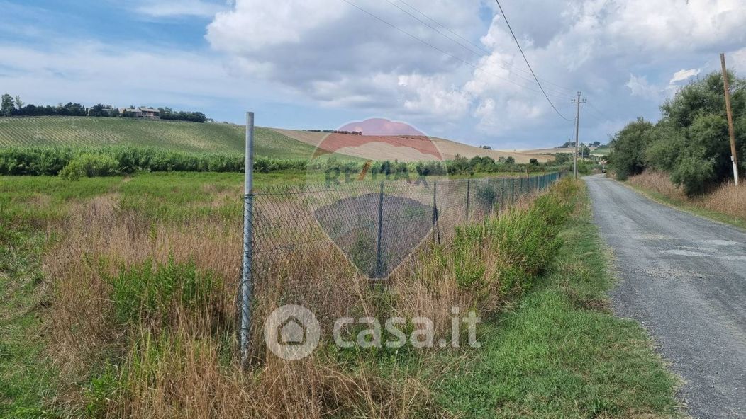 Terreno agricolo in Vendita in Via Matassina a Castellina Marittima