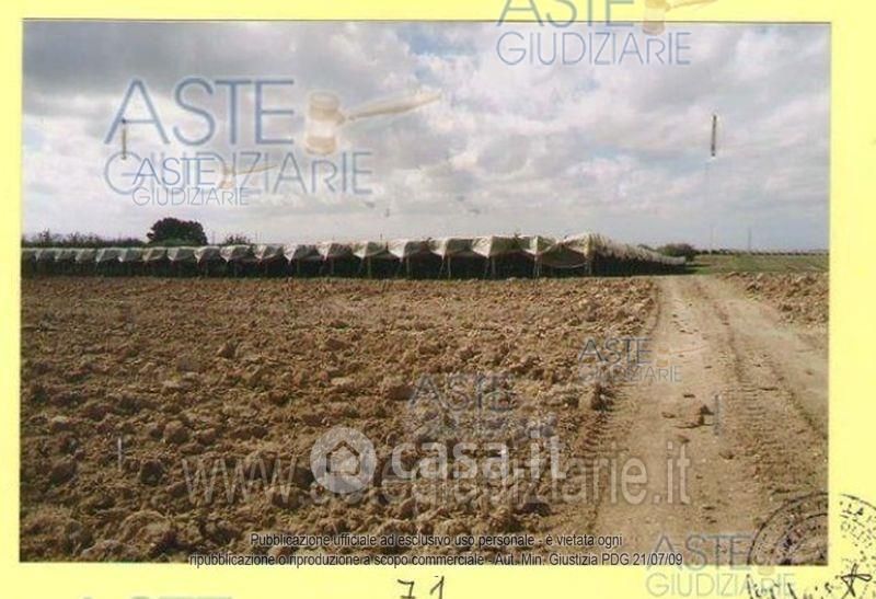 Terreno agricolo in Vendita in Contrada Sciri Sottano a Mazzarrone