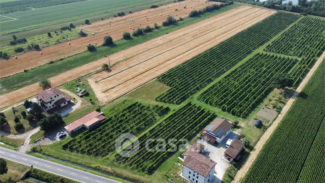 Terreno agricolo in Vendita in Via Serragli a Novi di Modena