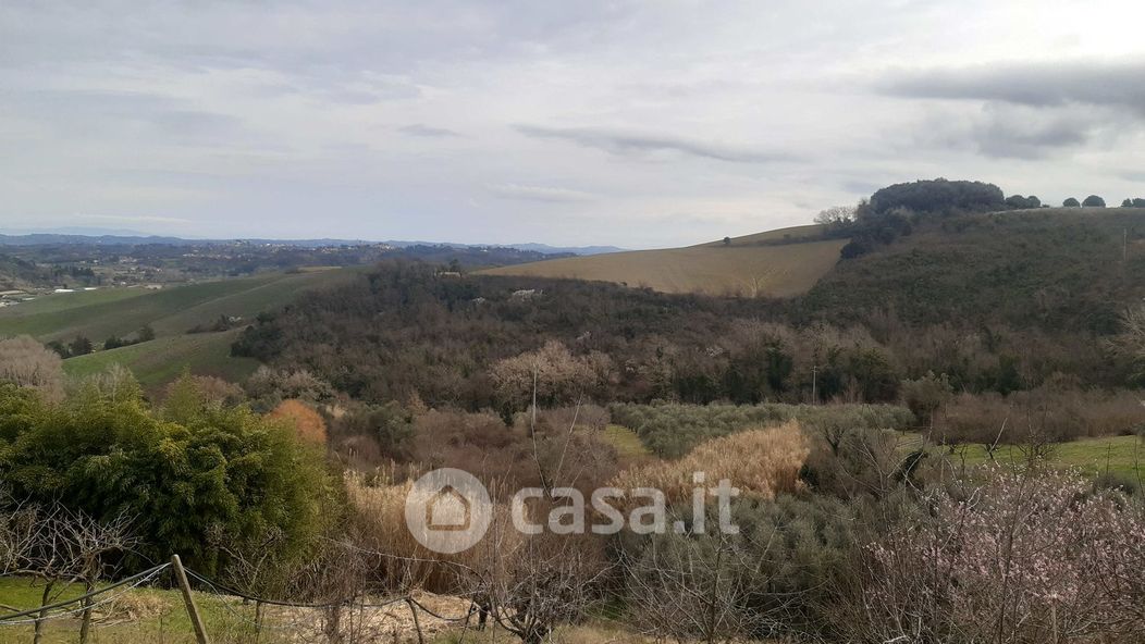 Terreno agricolo in Vendita in Strada Provinciale 13 del Commercio 38 a Casciana Terme Lari