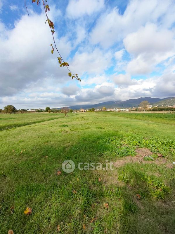 Terreno agricolo in Vendita in Via Pozzo Nuovo 3 a Castiglion Fiorentino