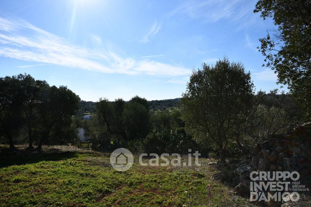 Terreno agricolo in Vendita in Contrada Badessa a Ostuni