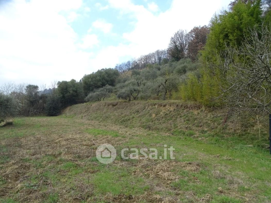 Terreno agricolo in Vendita in a Castelfranco di Sotto