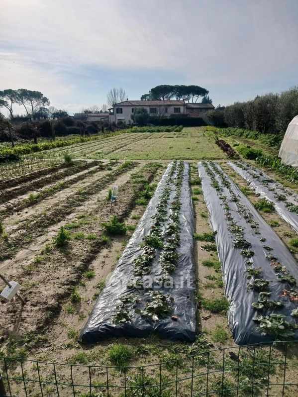 Terreno agricolo in Vendita in a Pisa