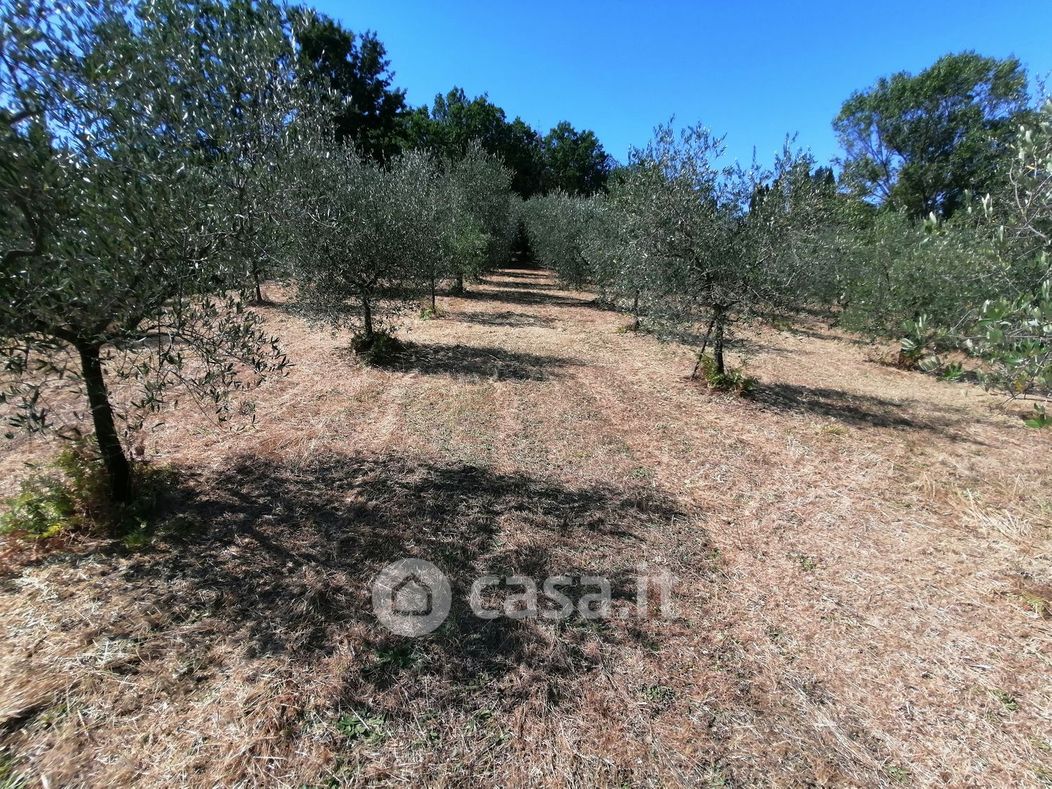 Terreno agricolo in Vendita in Via Morione a Serravalle Pistoiese