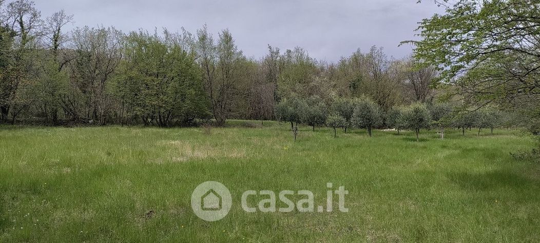 Terreno agricolo in Vendita in Località Ceroglie a Duino Aurisina