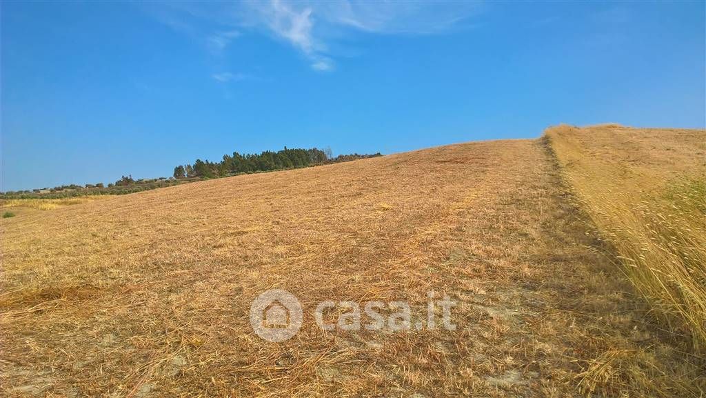 Terreno agricolo in Vendita in Viale Emilia a Catanzaro