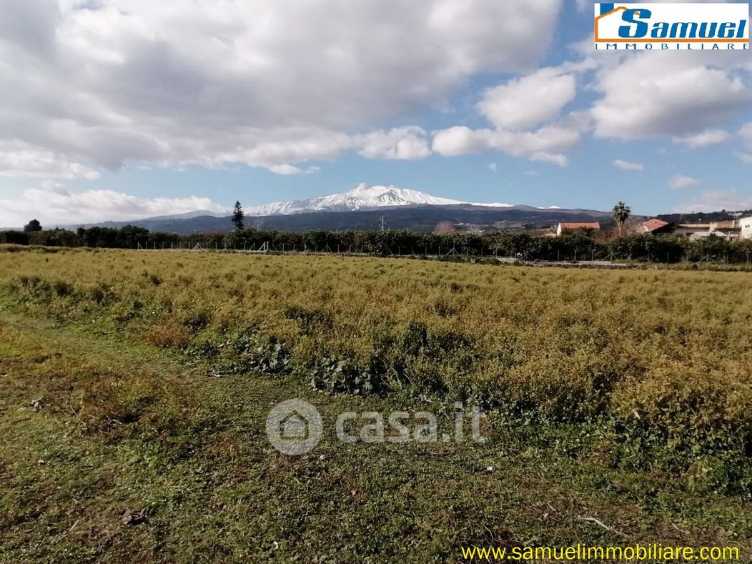 Terreno agricolo in Vendita in Via feudogrande a Fiumefreddo di Sicilia