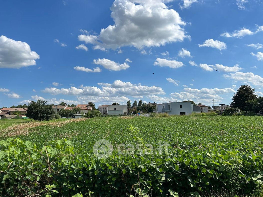Terreno agricolo in Vendita in Via Adige a Rossano Veneto