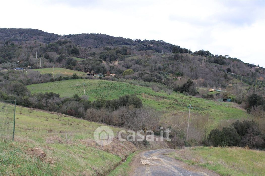 Terreno agricolo in Vendita in a Montecatini Val di Cecina
