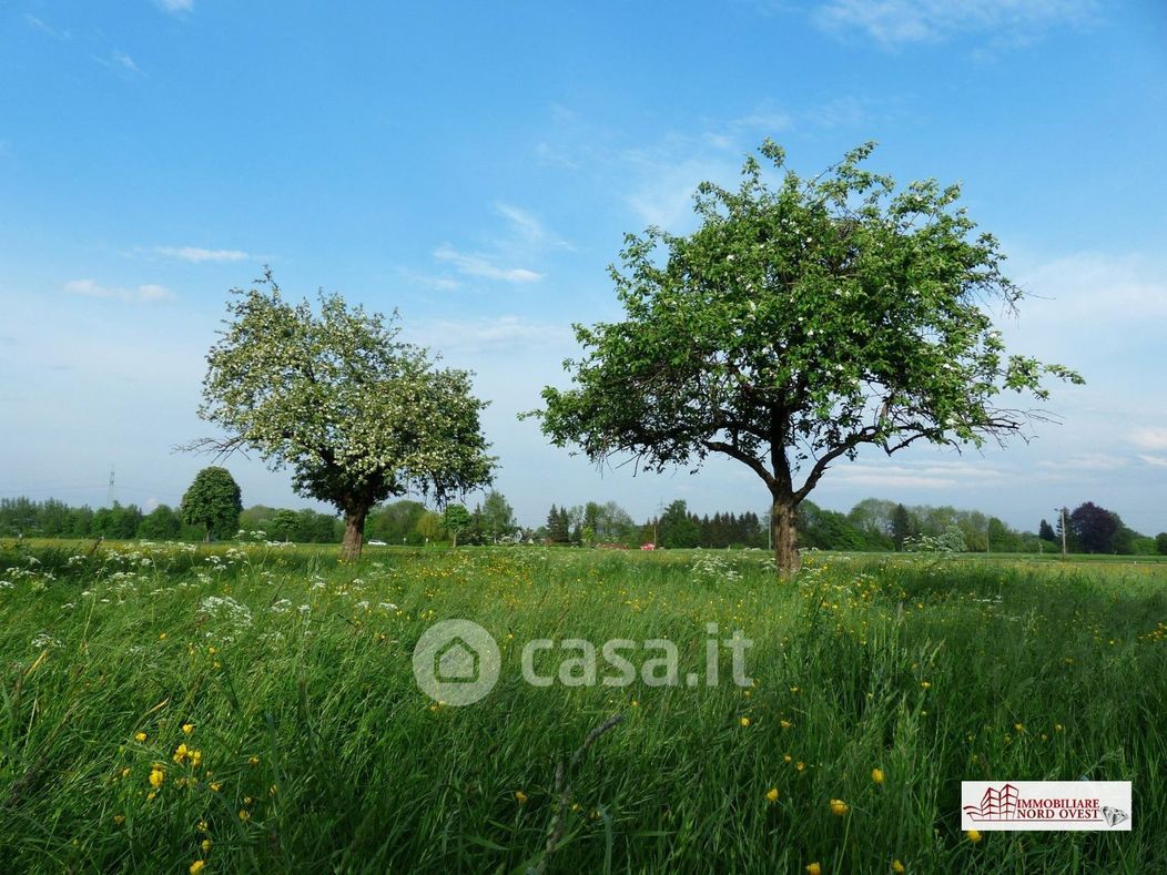 Terreno agricolo in Vendita in Via Giuseppe Parini a Corbetta