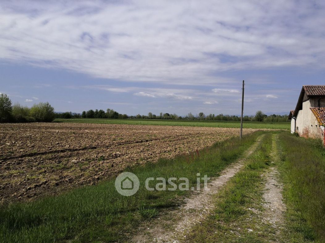 Terreno agricolo in Vendita in Via Seghe 43 a Camisano Vicentino