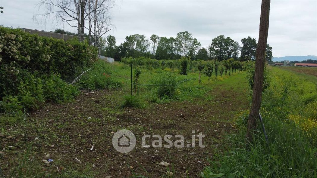 Terreno agricolo in Vendita in Via Sant'Andrea a Misinto