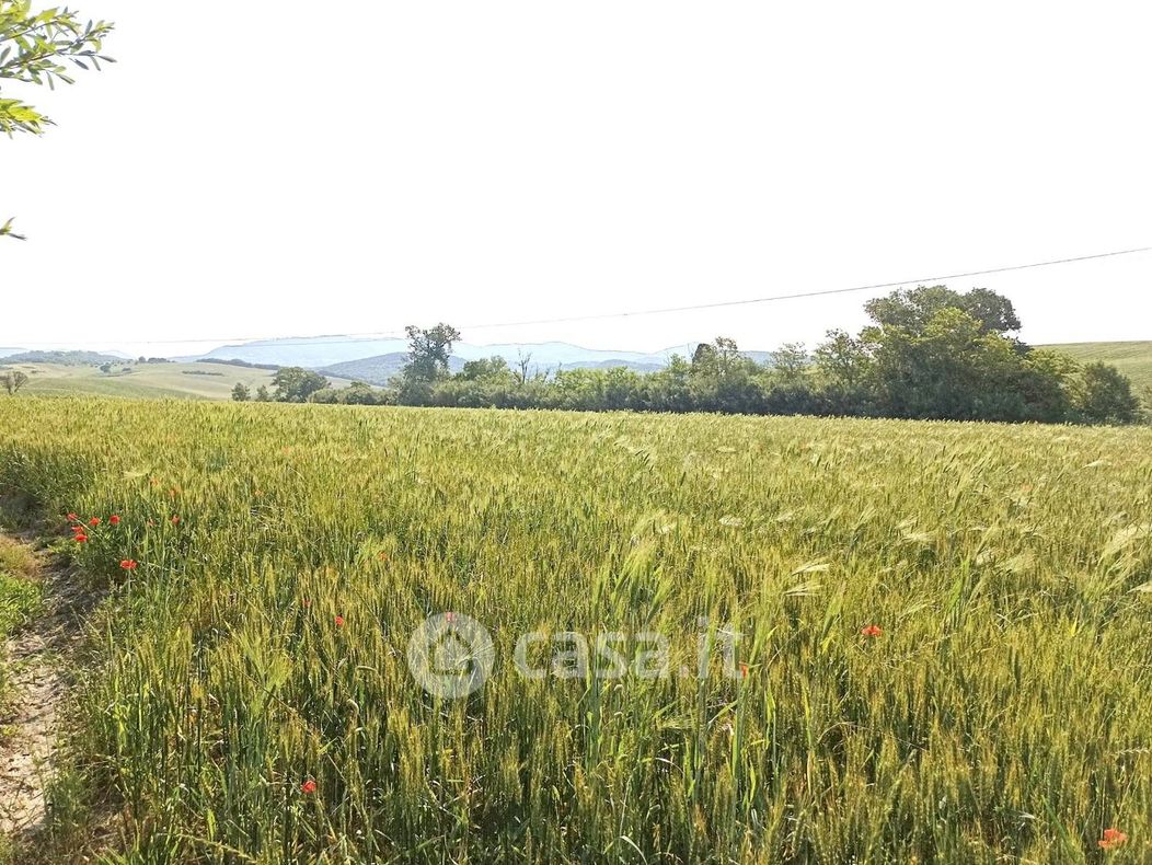 Terreno agricolo in Vendita in a Rosignano Marittimo