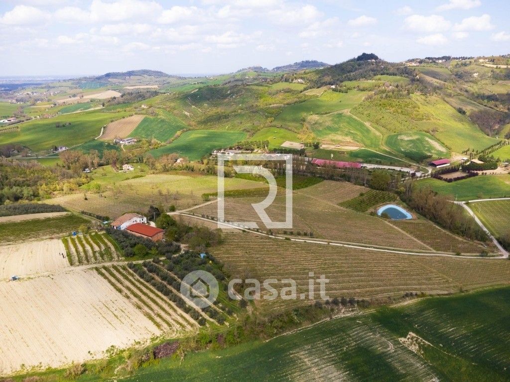 Terreno agricolo in Vendita in Via Sonsa 2420 a Bertinoro