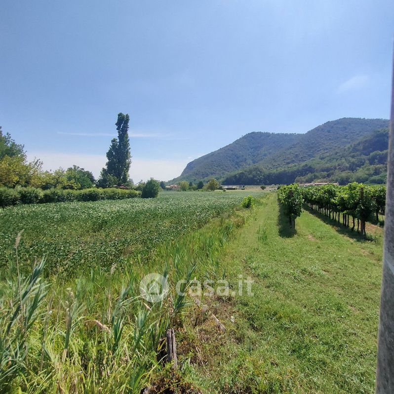 Terreno agricolo in Vendita in Via Savellon Retratto a Monselice