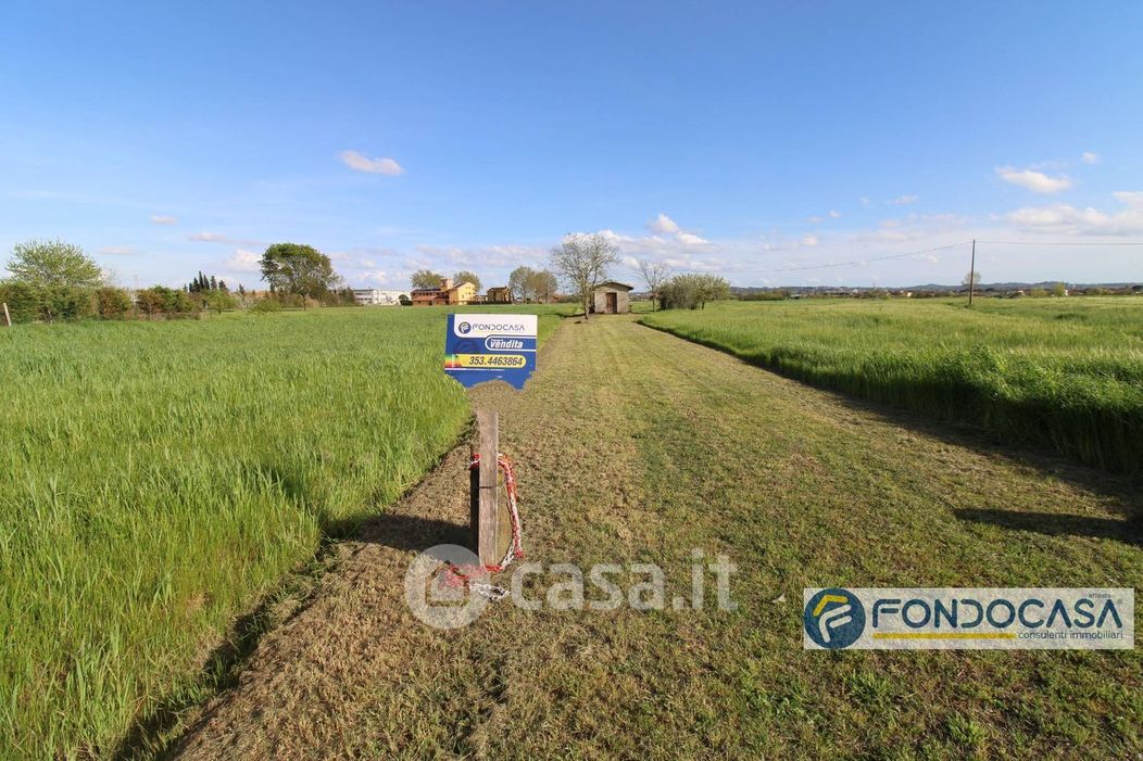 Terreno agricolo in Vendita in Via Comana a Castelfranco di Sotto