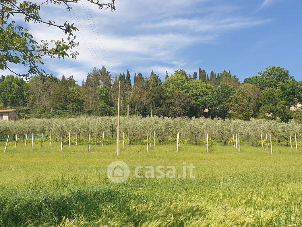 Terreno agricolo in Vendita in a Assisi