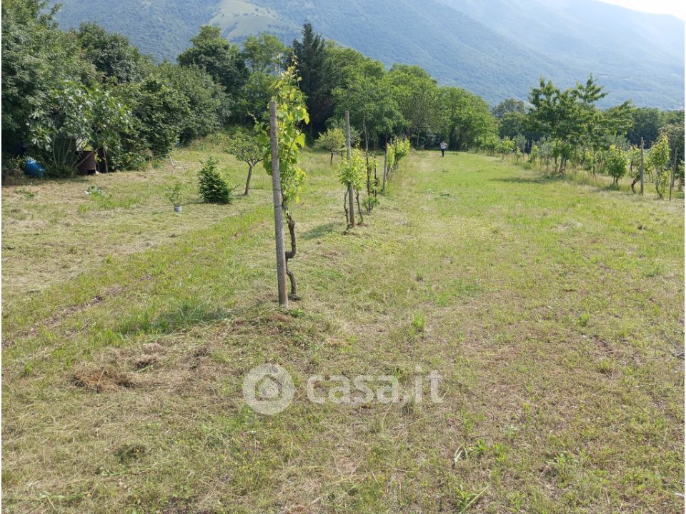 Terreno agricolo in Vendita in Sant'Agata a Cogollo del Cengio