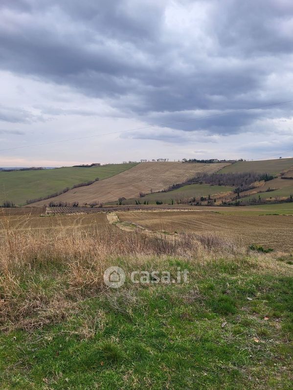Terreno agricolo in Vendita in Località amiana a Fano