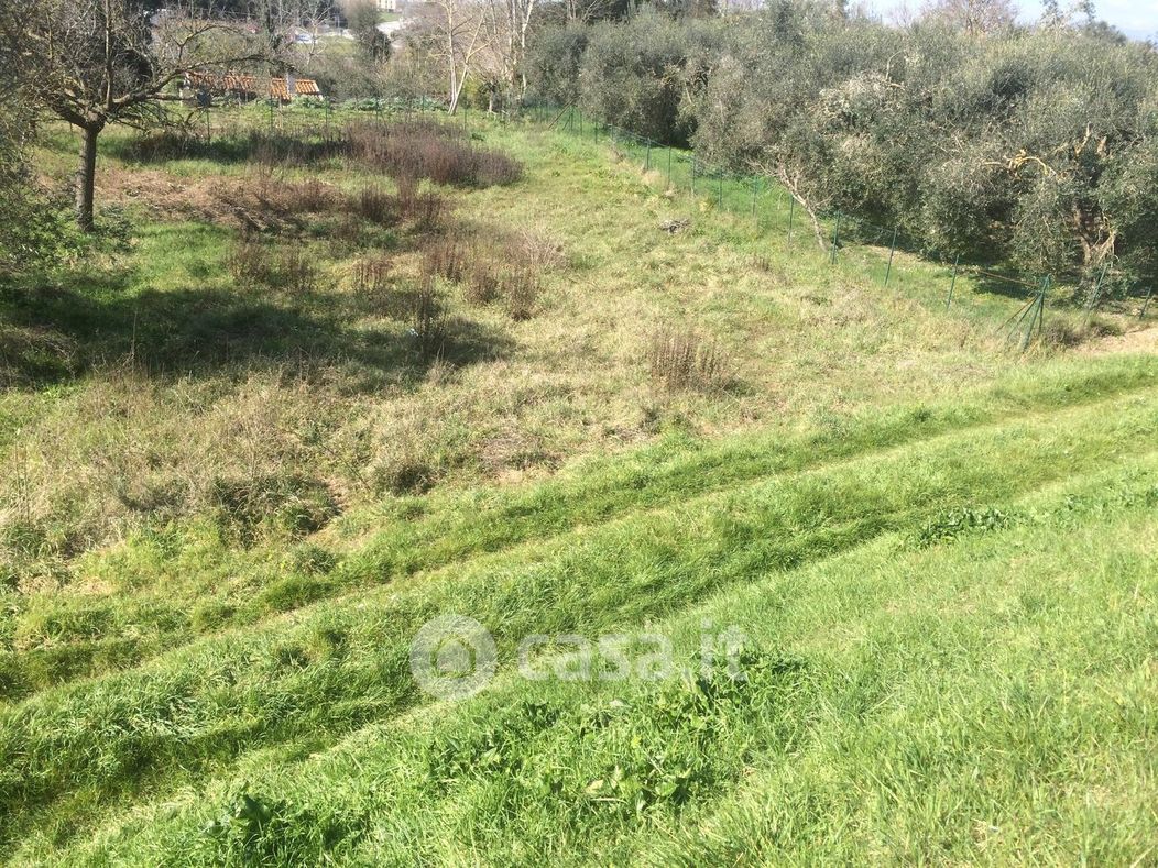 Terreno agricolo in Affitto in Via di Golena a San Giuliano Terme