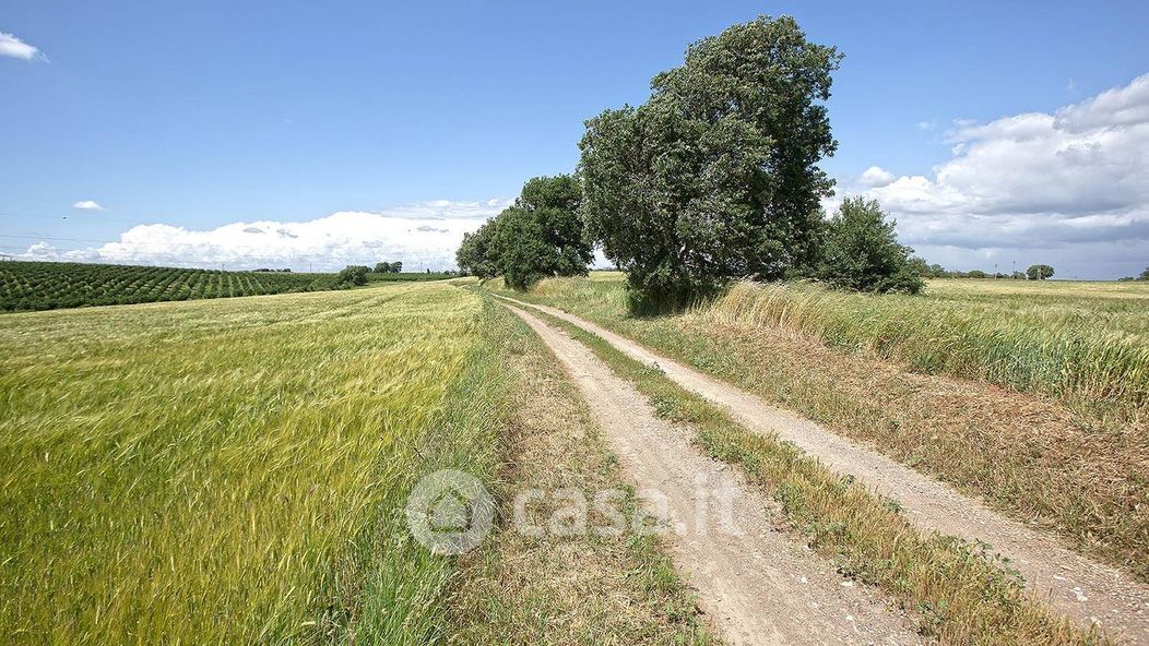 Terreno agricolo in Vendita in Strada Castiglione a Viterbo