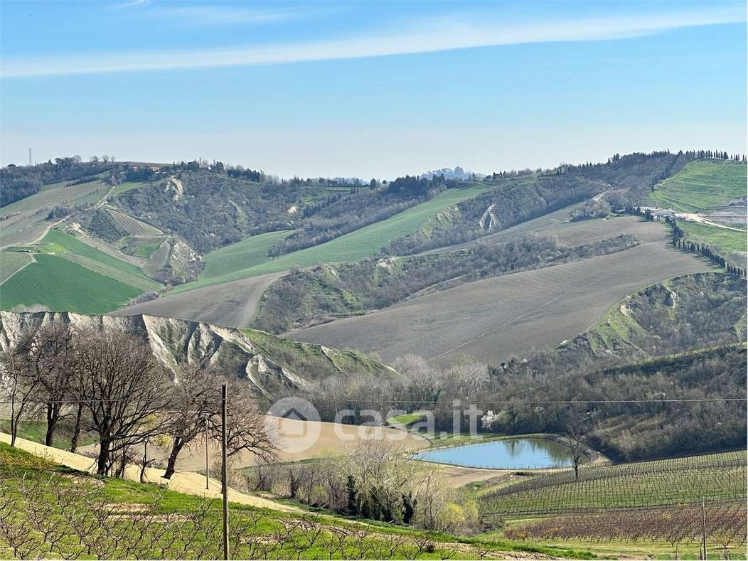 Terreno agricolo in Vendita in Via Monte Meldola a Imola