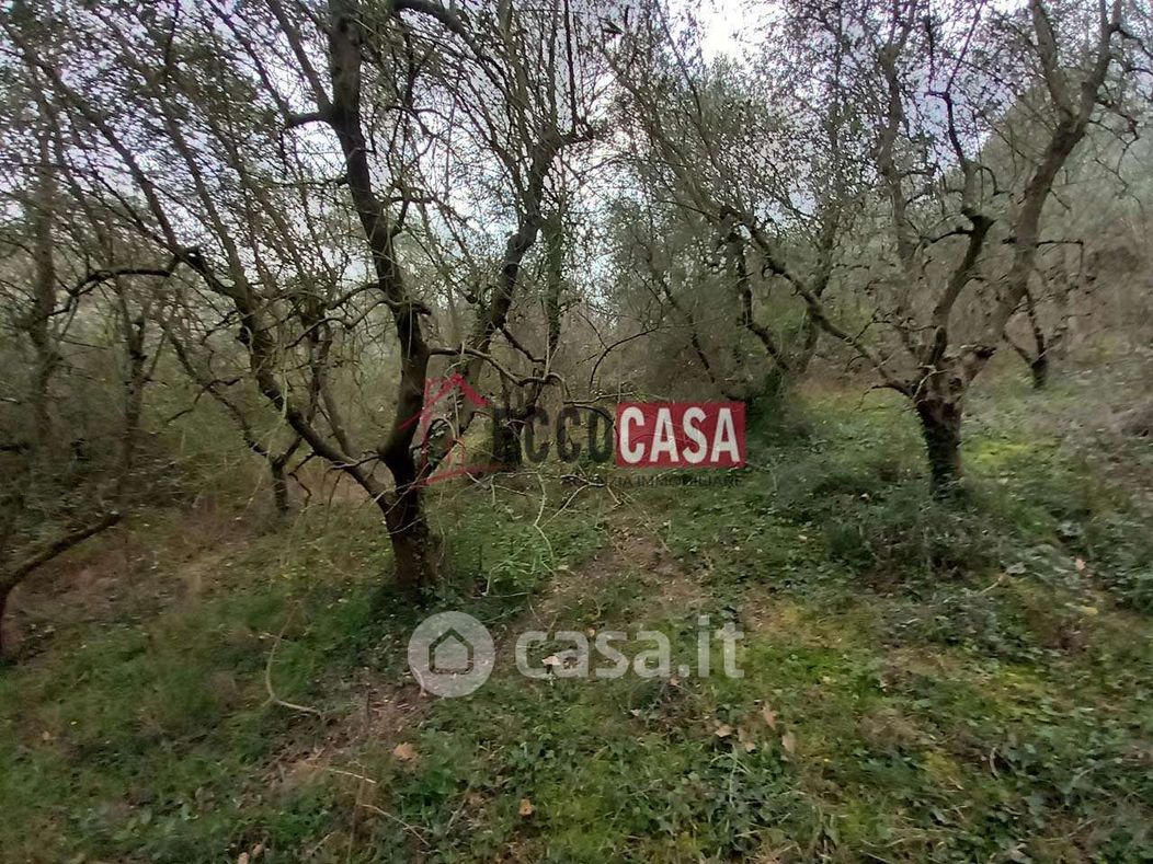 Terreno agricolo in Vendita in a Casciana Terme Lari