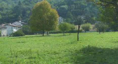 Terreno agricolo in Vendita in Località Almadis a Castelnovo del Friuli