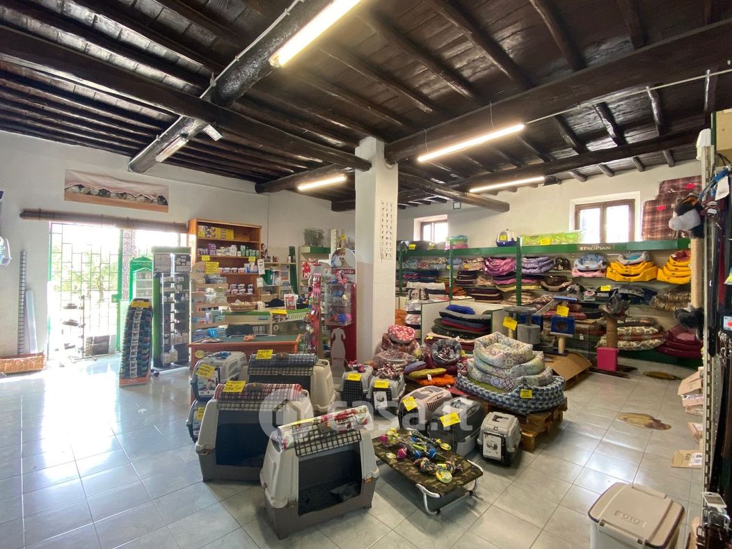 Negozio/Locale commerciale in Affitto in Via di Casal Morena a Roma