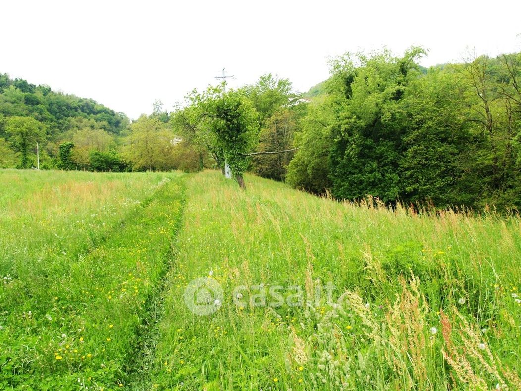 Terreno agricolo in Vendita in Via Pugnello a Arzignano