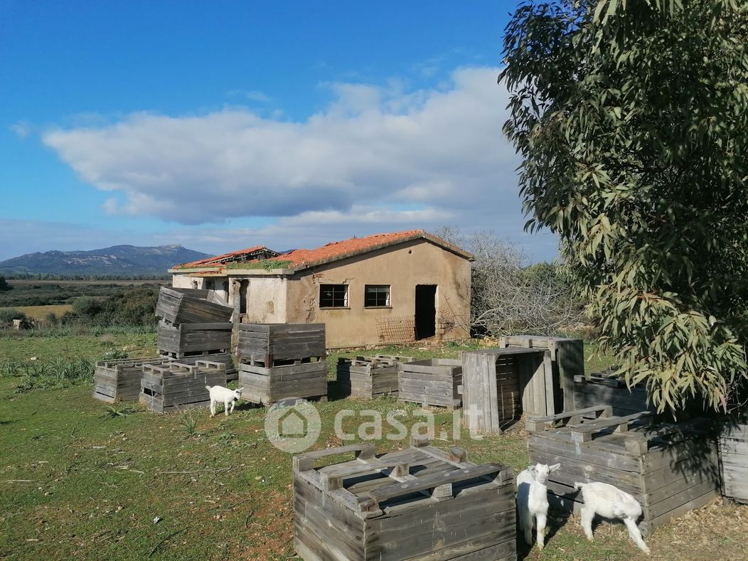 Terreno agricolo in Vendita in Località Zirra a Alghero